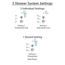 Load image into Gallery viewer, Chrome Finish Shower System with Control Handle, 3-Setting Diverter, Showerhead-3